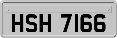HSH7166