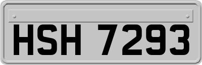 HSH7293