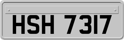 HSH7317