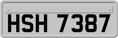 HSH7387