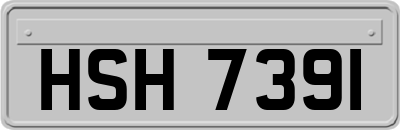 HSH7391