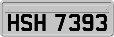 HSH7393