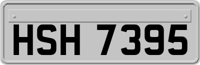 HSH7395