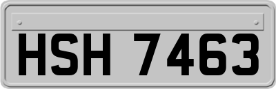 HSH7463