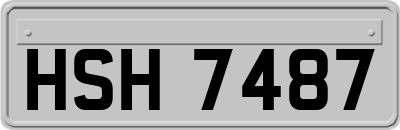 HSH7487
