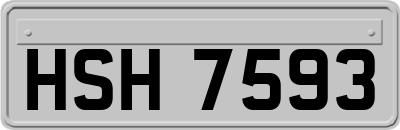HSH7593