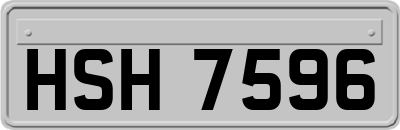HSH7596