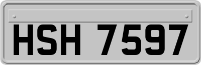 HSH7597