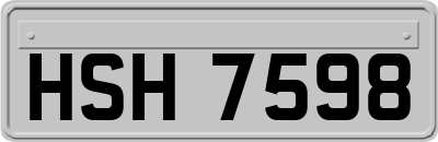 HSH7598