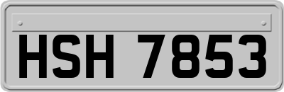 HSH7853