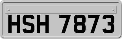 HSH7873