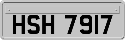 HSH7917