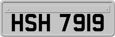 HSH7919