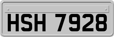HSH7928
