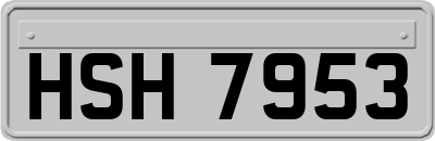 HSH7953