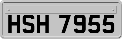 HSH7955