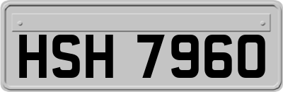 HSH7960