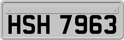 HSH7963