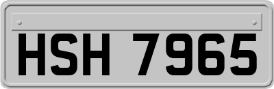 HSH7965