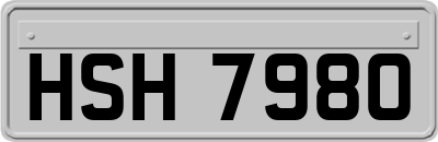 HSH7980