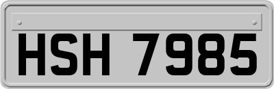 HSH7985
