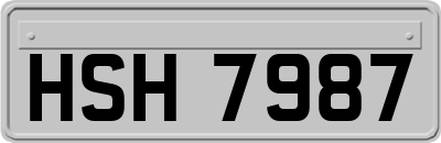 HSH7987