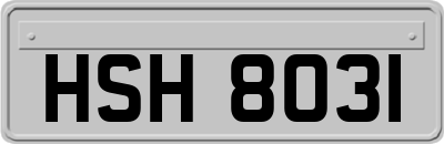 HSH8031