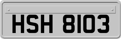 HSH8103
