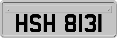 HSH8131