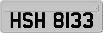 HSH8133