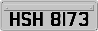 HSH8173