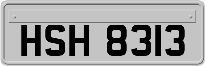 HSH8313