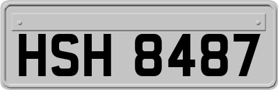 HSH8487