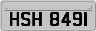 HSH8491