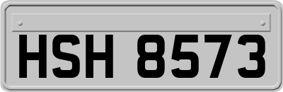 HSH8573