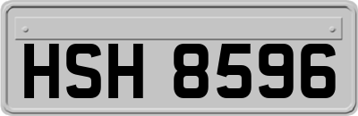 HSH8596