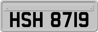 HSH8719