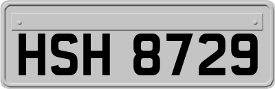 HSH8729