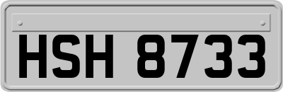HSH8733