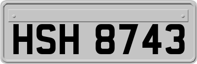 HSH8743