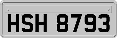 HSH8793