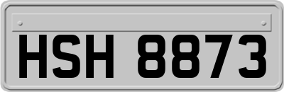 HSH8873