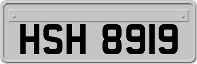 HSH8919