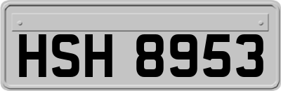 HSH8953