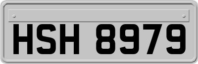 HSH8979