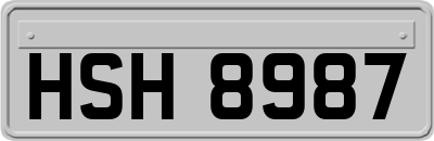 HSH8987