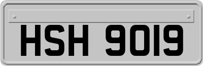 HSH9019
