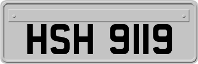 HSH9119