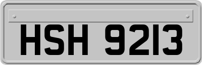 HSH9213