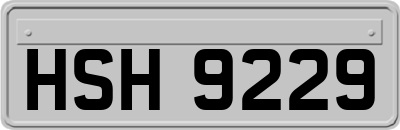 HSH9229